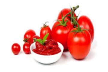 Iranian Tomato Paste for Export