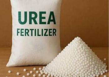 The Role of Shiraz Urea in Iran Export Trade
