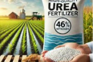 Iranian Urea for Export